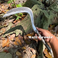 Sabit Leher Panjang Baja Asli Gagang Besi Anti Copot - Arit Gunung Kidul Potong Rumput Padi Dedaunan