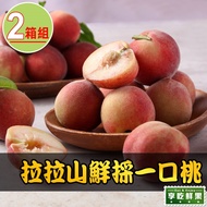 【最愛新鮮】拉拉山鮮採一口桃2箱(1.2kg±4.5%/箱)_預計7/27出貨