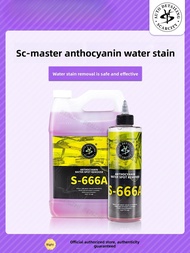 scarcity Anthocyanin Stain Remover S-666A Water Stain Remover Gel-like acidic detergent