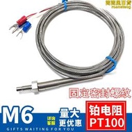 M6螺釘式 PT100固定螺紋熱電阻 M6螺釘PT100溫度傳感器書知