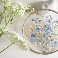 勿忘我禮物 滿天星 乾花 藍白 圓形金屬框