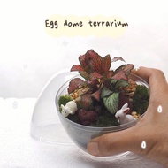 DIY Egg Dome Terrarium Kit | Tsum Tsum Figurines