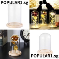 POPULAR Glass cloche Fairy Lights Terrarium Tabletop Terrarium Glass Vase Jar Wooden base