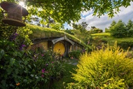 Hobbiton Movie Set Day Tour from Auckland