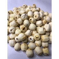 【福建】白莲子Lian Zi FUJIAN LOTUS SEED / KACANG TERATAI 100g
