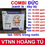 Combi Micronutrients Com Duc – Supplement Fe Zn Mn Bo Chelate EDTA