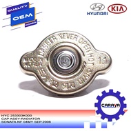 Cap Assy-Radiator Sonata Nf 04My Sep.2006