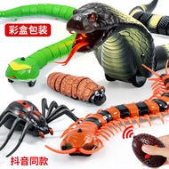 Tricky Toy Snake Simulation Centipede Electric Remote Control Decompression Spoof Tricky Spider Plas