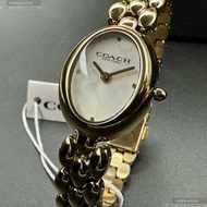 COACH手錶,編號CH00262,22mm, 28mm金色錶殼,金色錶帶款