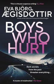 Boys Who Hurt Eva Björg Ægisdóttir