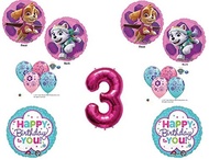 3rd Birthday Skye &amp; Everest Paw Patrol Girl Balloons Decoration Supplies Party Third