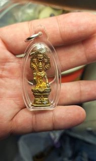 2547 紅眼睛澤度金 大模