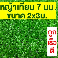 หญ้าเทียม เกรดA สูง 7มม. ขนาด 2x3ม. กันUV หญ้าเทียมราคาถูก หญ้าปลอม หญ้าปูสนาม คุณภาพดี สีไม่ซีด มีรูระบายน้ำ ปูพื้น ปูผนัง แต่งสวน จัดส่งไว