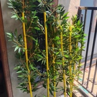 # Tanaman Hias Bambu Artificial / Dekorasi Bunga Plastik / Bambu Palsu