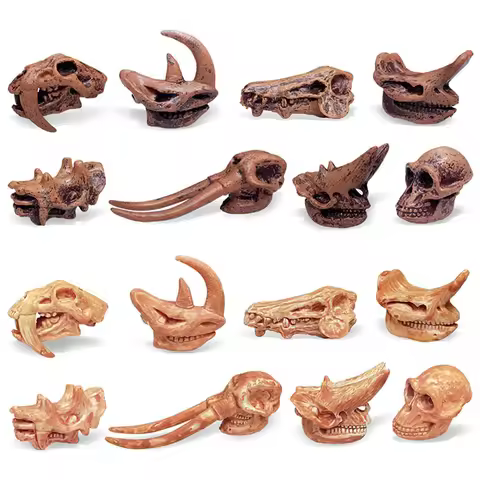 Children Toys Archeology Prehistoric Mammal Dinosaur Skull Fossil Model Set Tyrannosaurus Skull Foss