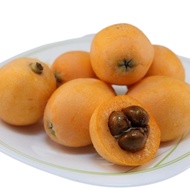【阿成水果】日本空運長崎茂木枇杷(12粒/500g/盒)