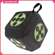 Moon ISILAND โฟมบล็อก Target Compound Recurve Target