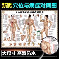 Human Acupoint Chart Large Wall Chart Chinese Medicine Health Twelve Meridian Acupoint Male Acupunct