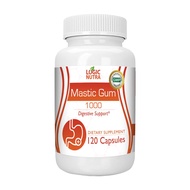 Mastic Gum Capsules - Natural Gastrointestinal Support Supplement, 1000mg Per Serving - 120 Capsules