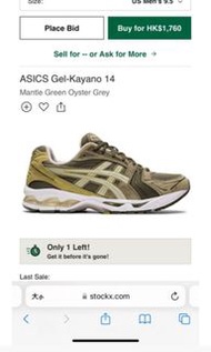 Asics Kayano 14