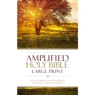 Amplified Holy Bible