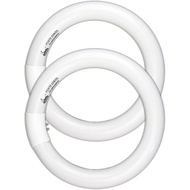 Circular Bulb FC8T9/DL, 8 Inch T9 22W Circline Fluorescent Light Bulbs, Replacement Round Fluorescen