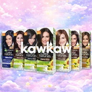 Garnier Hair Color Perwarna Rambut Naturals CremeRiche UltraColor Hair Dye Halal Sah Solat Telus Air