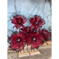 MERAH Giant flower red black gradation giant flower