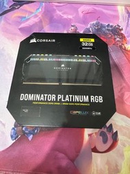Corsair DOMINATOR PLATINUM DDR5-5600(16Gx2)
