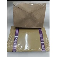 Vision Document Thick Brown Envelope 9x12" 10x15" 100 pieces
