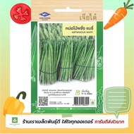 หน่อไม้ฝรั่ง เมล็ดพันธุ์หน่อไม้ฝรั่ง เจียไต๋ Asparagus seed