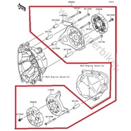 Kawasaki Z800 Original Engine Guard