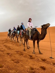 3-Day Marrakech to Merzouga Desert Tour – Camel Ride & Premium Camp