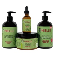 Mielle Rosemary Mint Scalp & Hair Strengthening Oil Mielle Organics Rosemary Mint Scalp & Hair Masqu