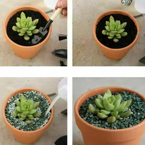 10Pcs Red Pottery Flower Pot Clay Pottery Planter Cactus Flower Pots Succulent Pot With Drainage Hol
