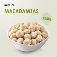 Nuts & Co Raw/Baked Extra Large Macadamia (whole) Kacang Makadamia 夏威夷果 Halal Ready to Eat