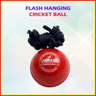 Flash Hanging Cricket Ball Bola Kriket Bertali