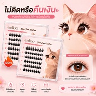 eelloo False Eyelashes With Self-Adhesive No Glue Required Easy To Install Long-Lasting Reusable For