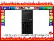 【GT電通】ASUS 華碩 E500 G6(i5-10500/8G/1TB+512G/W10P)繪圖工作站~下標先問庫存