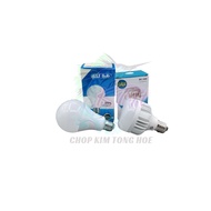 MENTOL LED DC 12V-24V/LED BULB DC 18W &25W