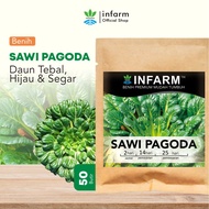Benih Super Sawi Pagoda Bibit Super Sawi Pagoda Biji Super Sawi Pagoda Bibit Sawi Pagoda Benih Bibit