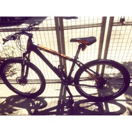 Foxter 308 mountain bike