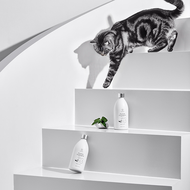 野田實驗室貓咪家庭專用寵物友善驅蟲地板清潔劑-貓薄荷2入組