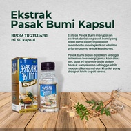 PASAK BUMI EKSTRAK Kemasan isi 50 Kapsul BPOM