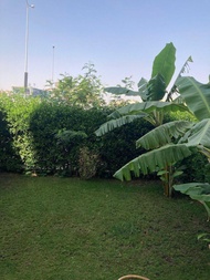 Pangsapuri 50 m² dengan 1 bilik tidur dan 1 bilik mandi peribadi di Sheikh Zayed City (Entiry Appart