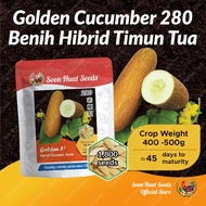 Benih Timun Tua 280 Golden Cucumber Seeds [1,800 seeds] 老黄瓜種子 Soon Huat Seeds
