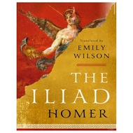 The Iliad a novel by Homer