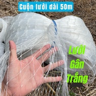 Net roll length 50m-30m-20m-40m-... White ribbed net, chicken fence net, balcony fence net, trellis 