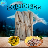 [2KG] Telur Sotong Putih Sejuk Beku / Frozen White Squid Egg