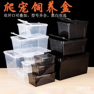 Reptile Breeding Box Amphibian Snail Spider Gecko Horned Frog Large Turtle Box with Hideout and Land